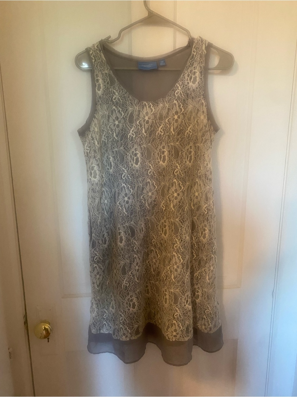 Sleeveless Lace Overlay Dress SimplyVera Vera Wang Petite Medium